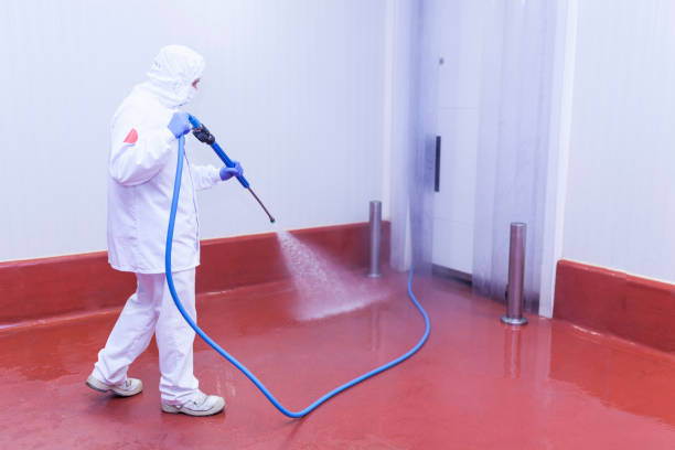 Best Residential Pressure Washing in Shenandoah, TX
